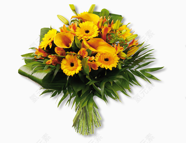 手绘鲜花太阳光