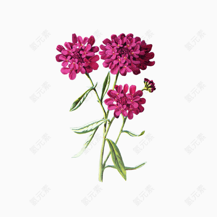 精美五彩花卉