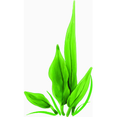 手绘春天绿色卡通植物树叶