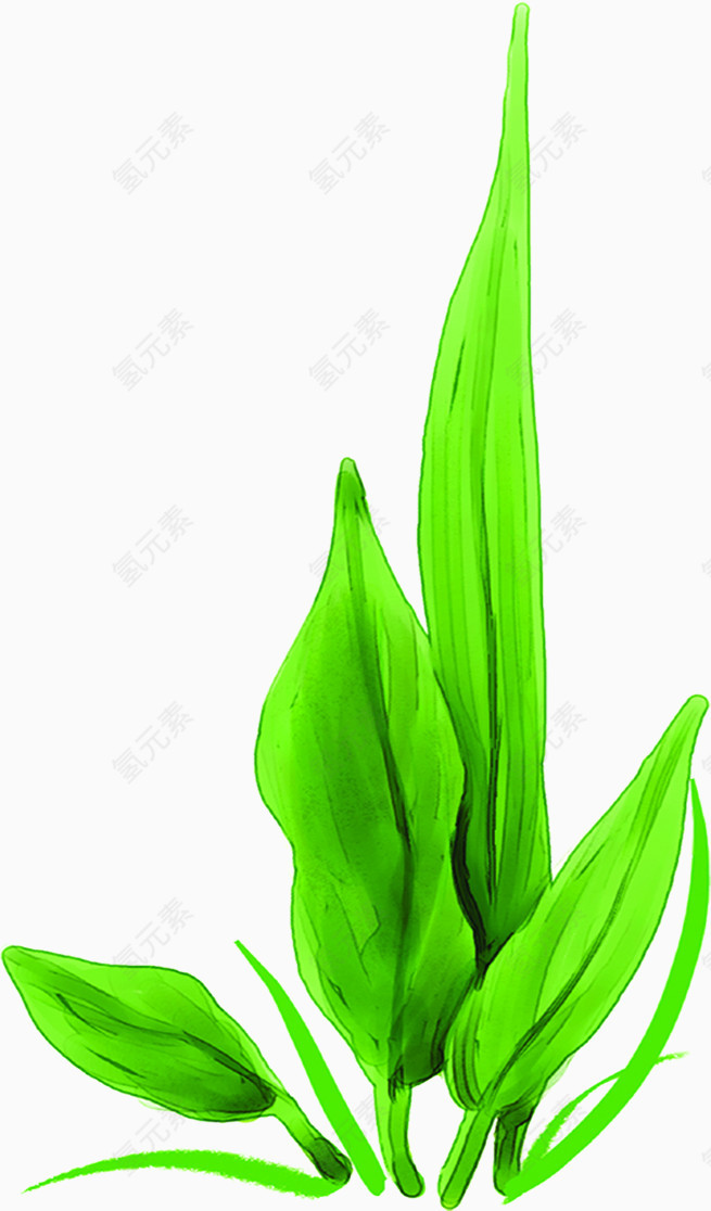 手绘春天绿色卡通植物树叶