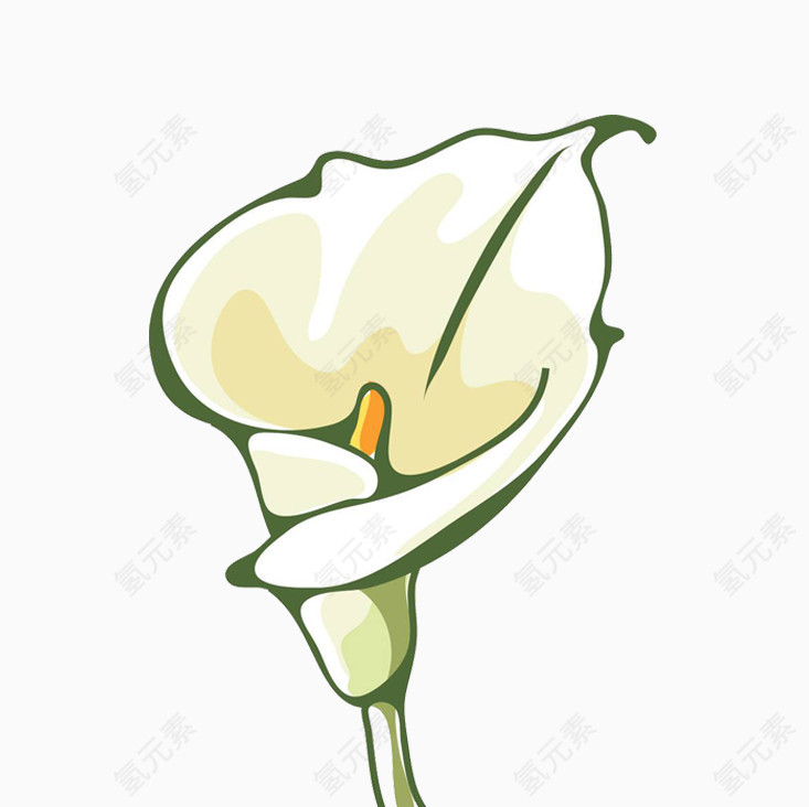 精美花卉