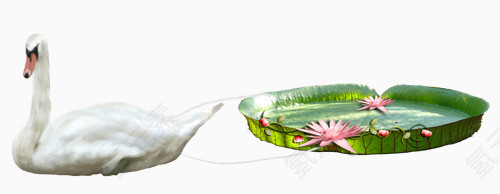 卡通绿植花卉