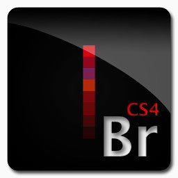 AdobeCS44 CS4来