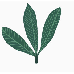 卡通热带绿色叶子