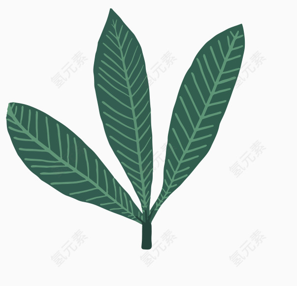 卡通热带绿色叶子