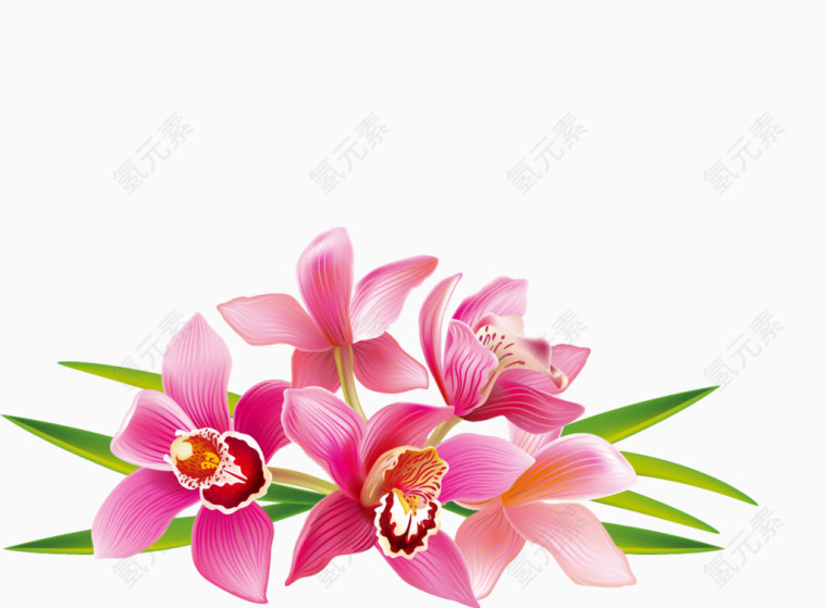 粉红色花瓣