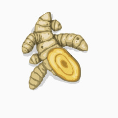 生姜烹饪佐料调味料素材