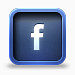 脸谱网pressed-social-icons