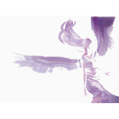 天使的翅膀矢量图