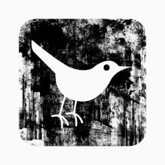 鸟广场推特垃圾的社会媒体