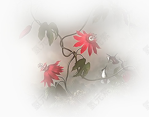 鲜花花卉花卉素材