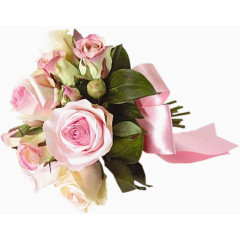 鲜花相框素材绿植花卉 花束