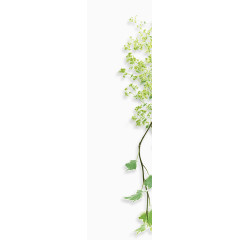 藤蔓植物春意盎然 