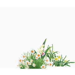 白色小花花朵花丛