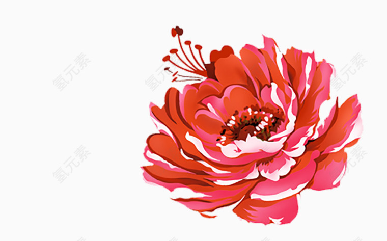 红色的花