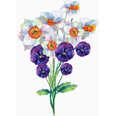 花卉