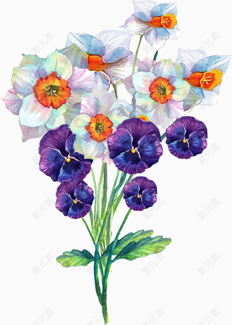 花卉