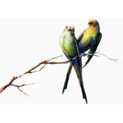 古风唯美插画小鸟