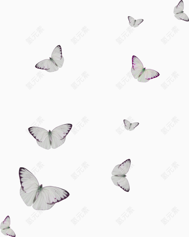 蝴蝶
