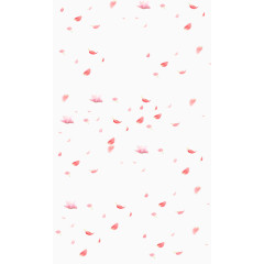 花瓣飘