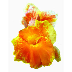 装饰素材手绘装饰素材