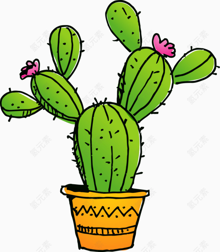 花艺盆栽仙人掌