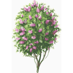 水彩开花的树