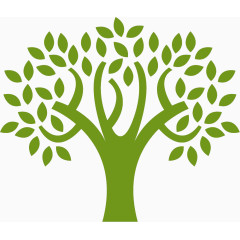 枝繁叶茂的绿树