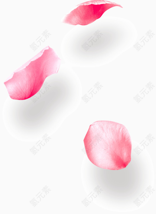 漂浮的大花瓣