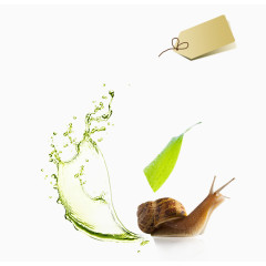 蜗牛霜装饰元素