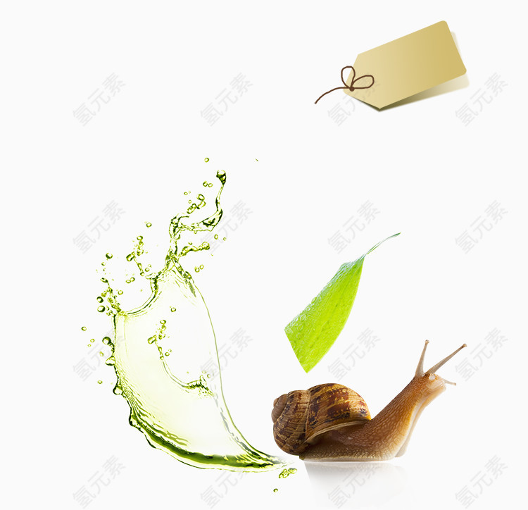 蜗牛霜装饰元素