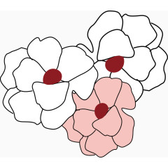 手绘花朵png素材