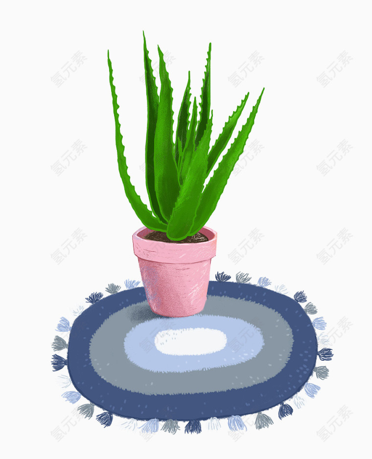 手绘芦荟