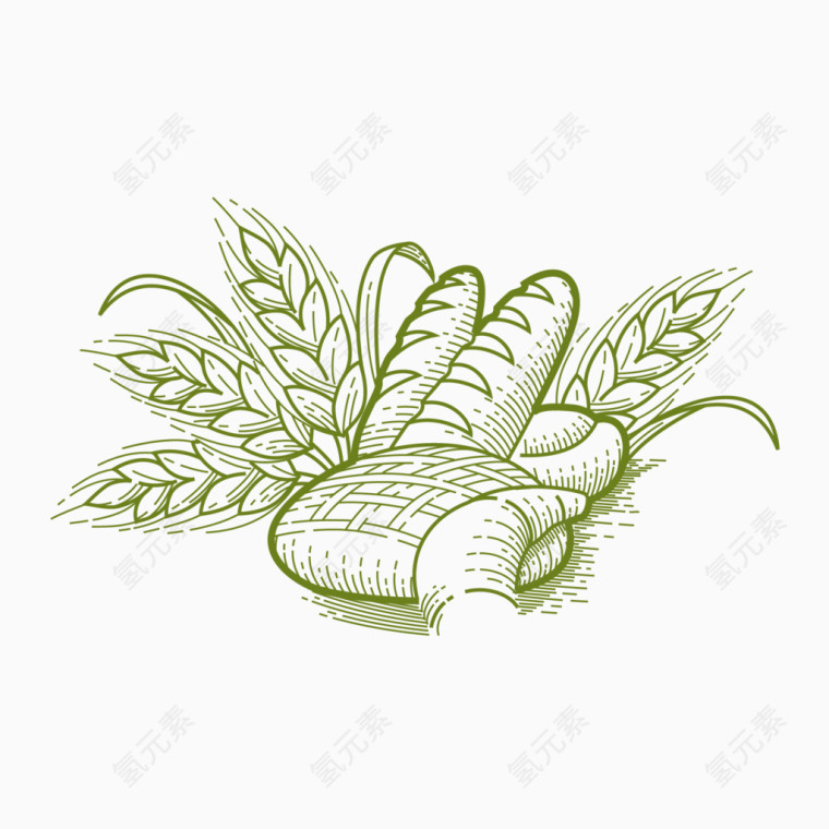 卡通小麦