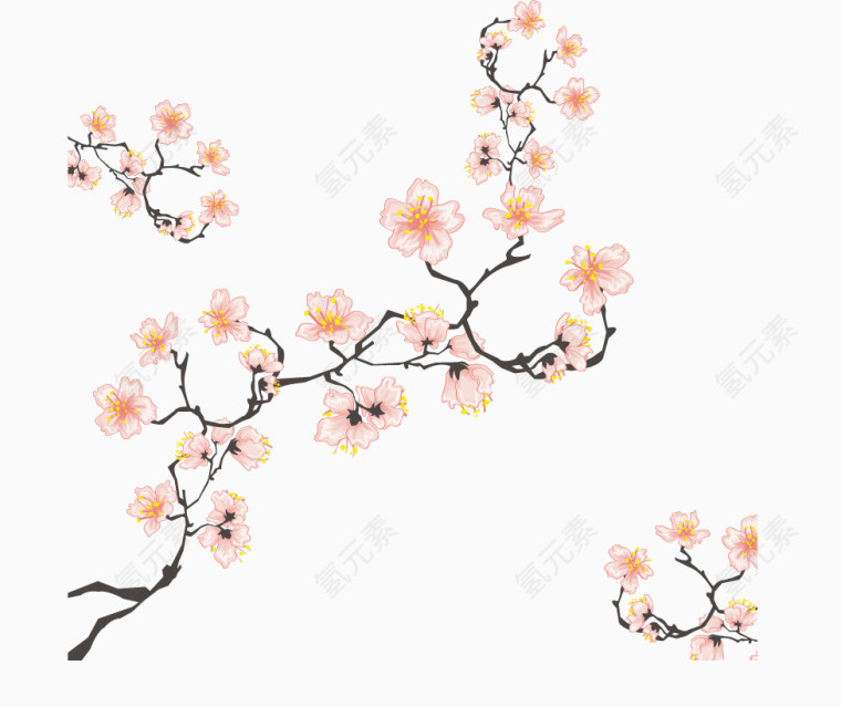 梅花