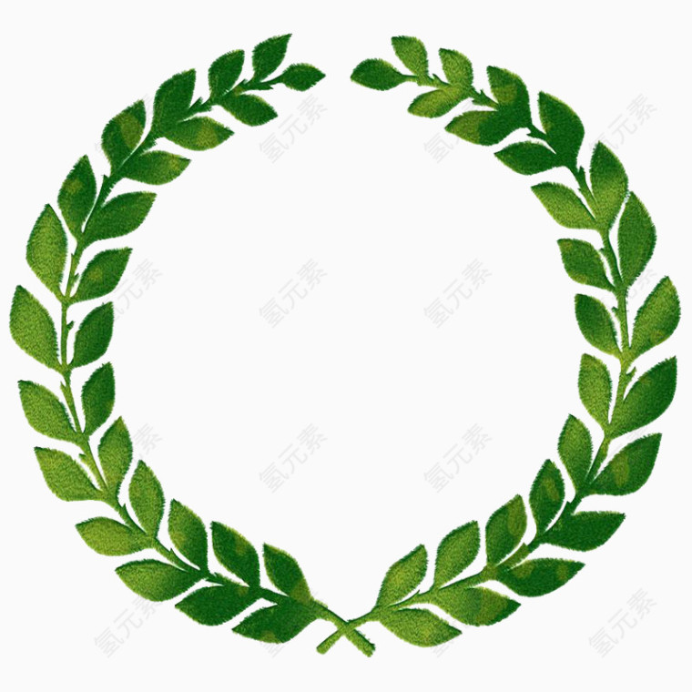 绿叶圆环