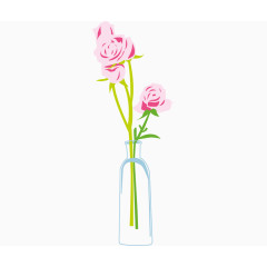 玫瑰花