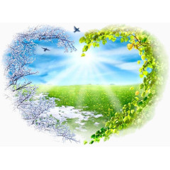 水花卉爱心效果