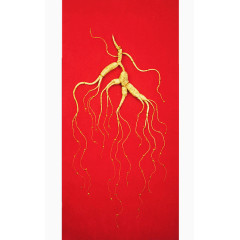 西洋参高档礼盒装