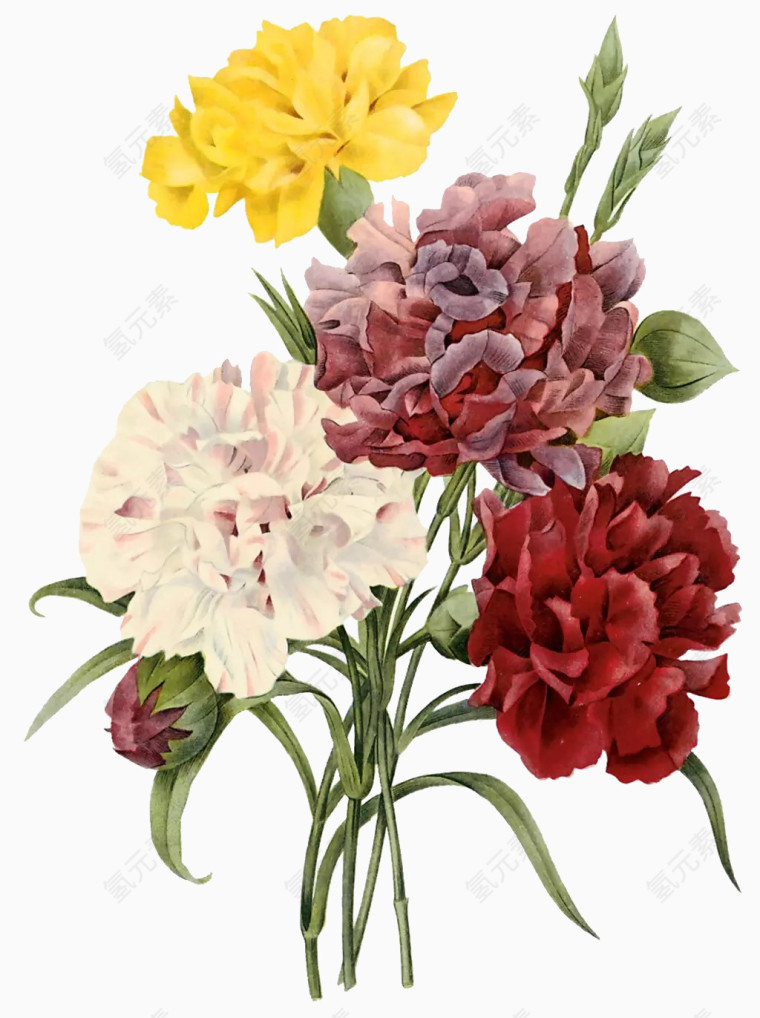 花素材