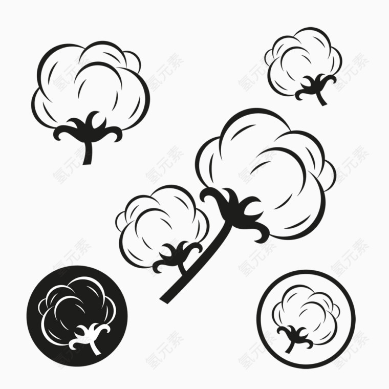 简约风棉花