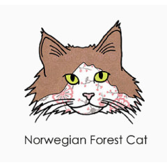 小清新插画网店装修宝贝美化手绘