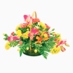 花儿盛开PNG免抠图素材