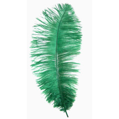 卡通羽毛素材  绿色精美羽毛