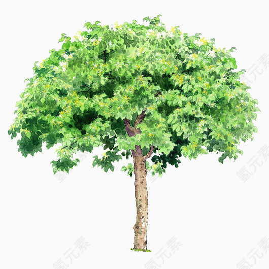 卡通树木图片卡通树木图片素材