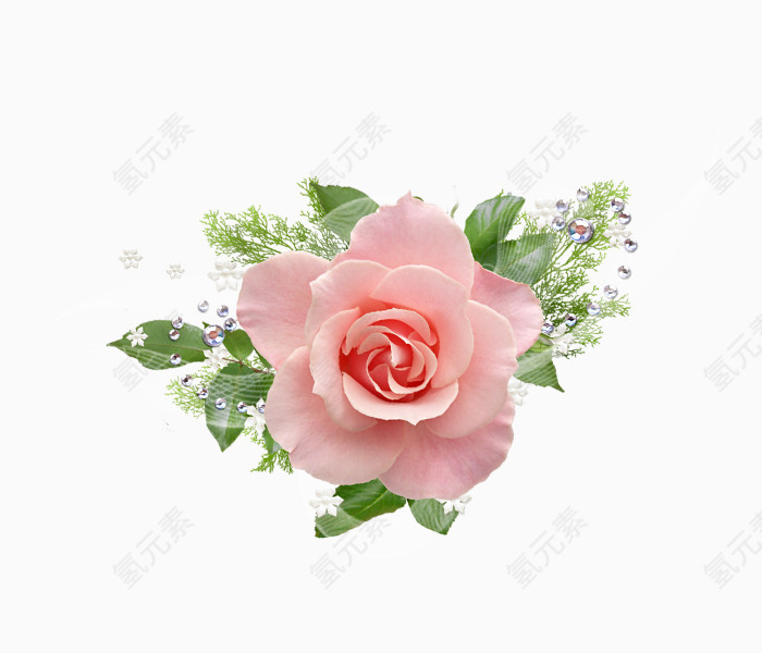 精美粉色花朵png装饰素材