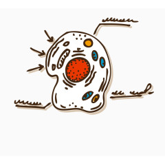 线描手绘细胞结构