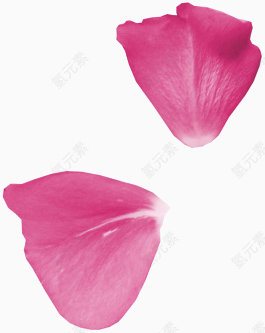 红色花瓣