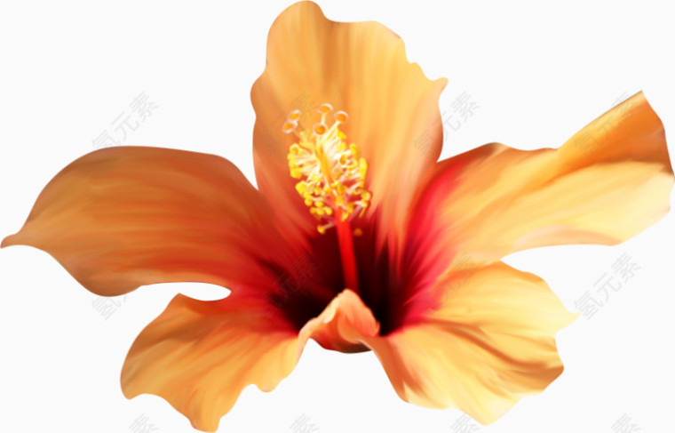 花草设计素材花卉图案