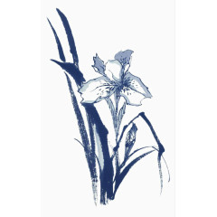 手绘花卉